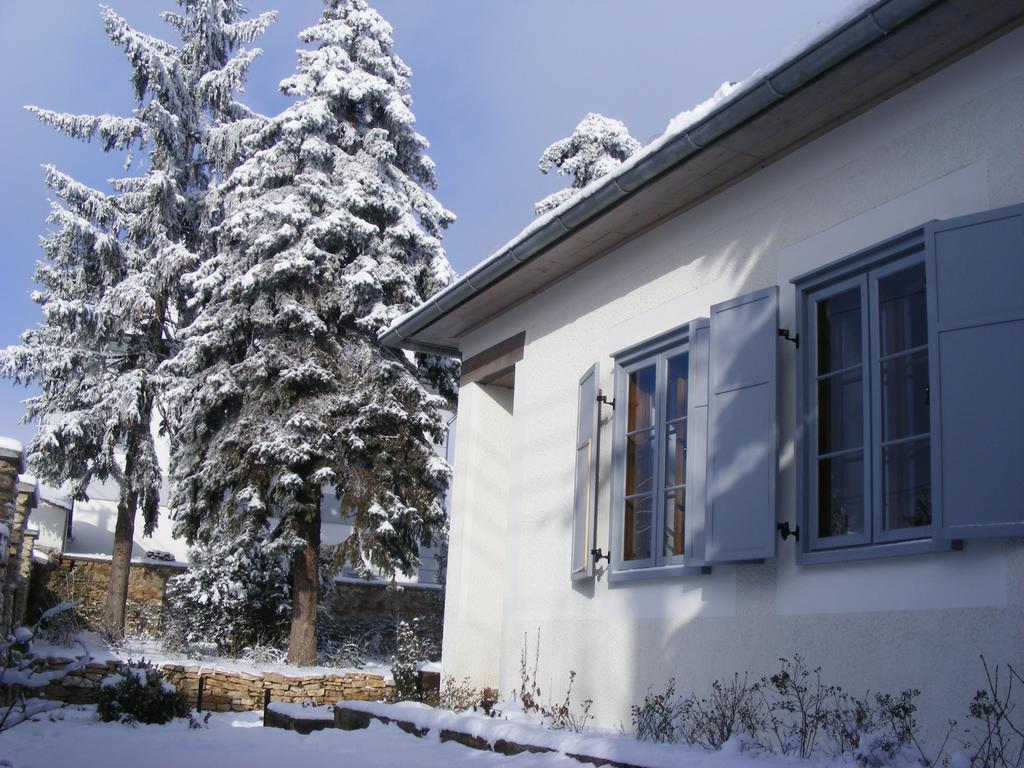 Bagolyvar Fogado- Ujfalusy Marton Vendeghaz Zirc Exterior photo