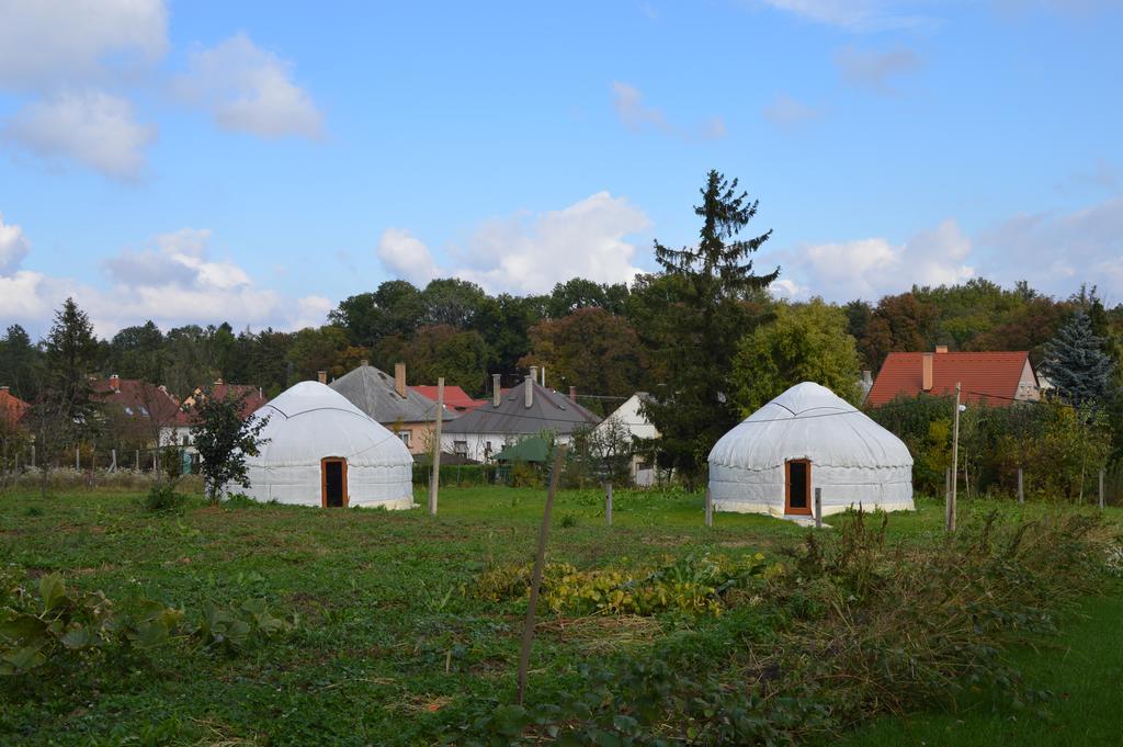 Bagolyvar Fogado- Ujfalusy Marton Vendeghaz Zirc Exterior photo