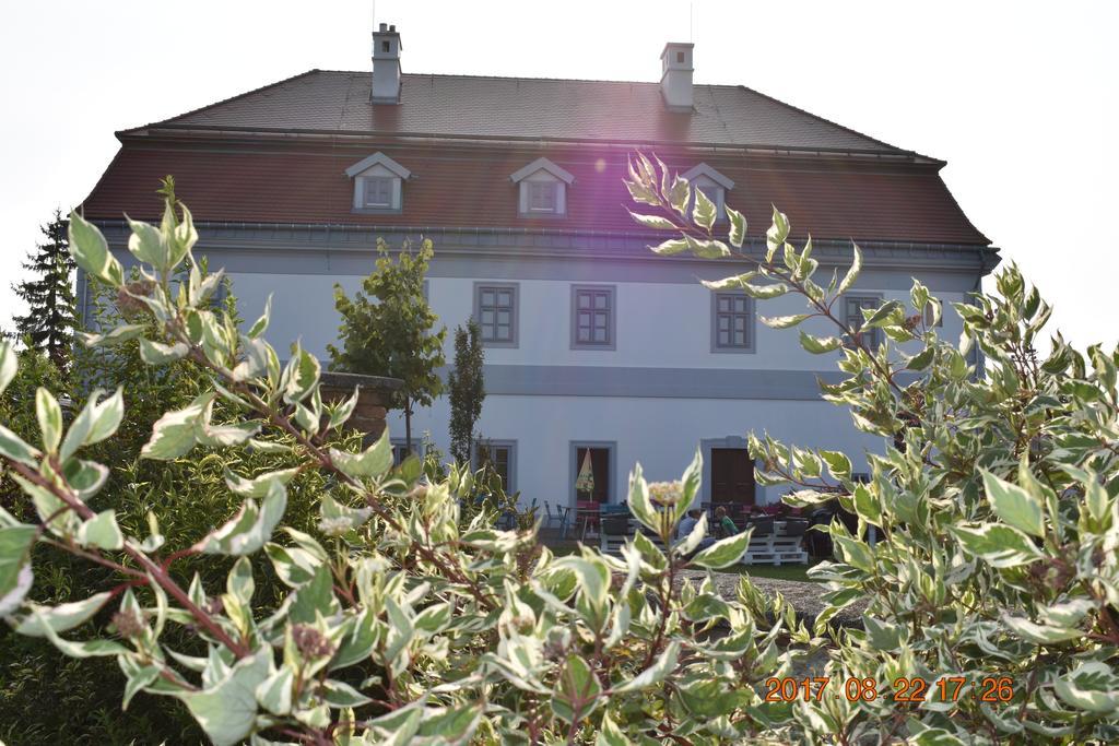 Bagolyvar Fogado- Ujfalusy Marton Vendeghaz Zirc Exterior photo
