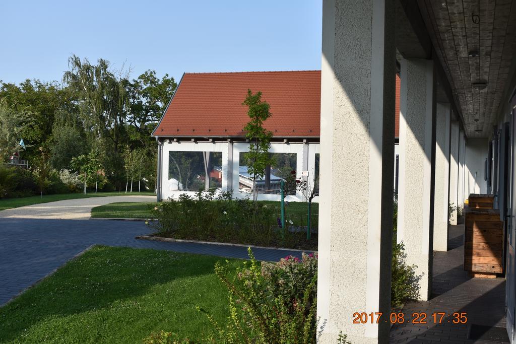Bagolyvar Fogado- Ujfalusy Marton Vendeghaz Zirc Exterior photo